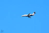 A1C02536