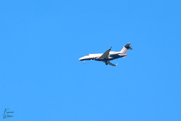 A1C02536