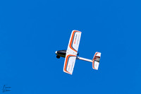 A1C02619