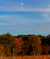 10-26-2025_0600