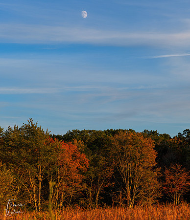 10-26-2025_0600