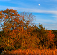 10-26-2025_0254