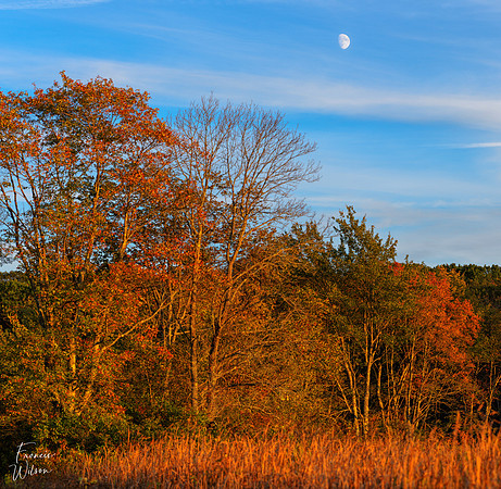 10-26-2025_0254