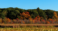 10-26-2025_0607