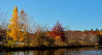 HP_Nov2nd__1892