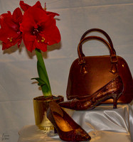 A1C09626