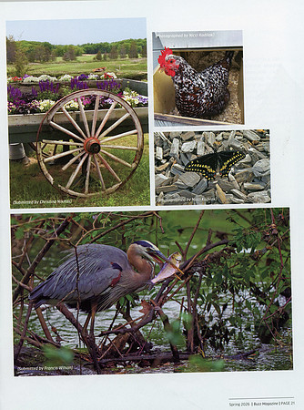 Buzz_03006