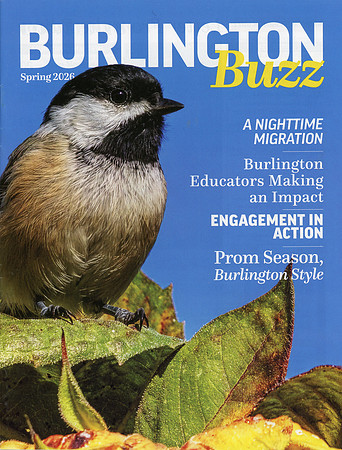 Buzz_00001