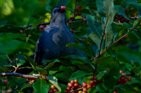 Photo_Contest_2025