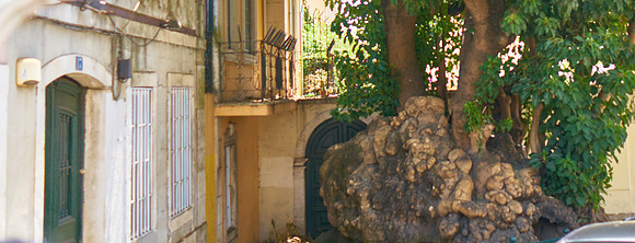 Lisboa_Aug5th_2025 9